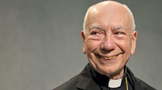 Se derrumba la Vicaría de Coccopalmerio